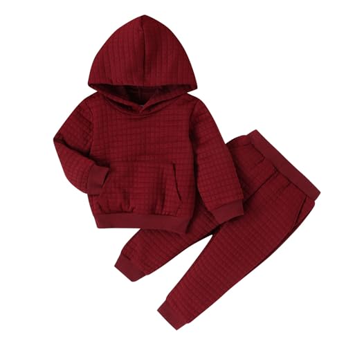 Toddler Boys Girls Hoodies Sweatshirt Autumn Long Sleeve Solid Color Tops Pants with Pocket Fashion Outfit 2Pcs Set