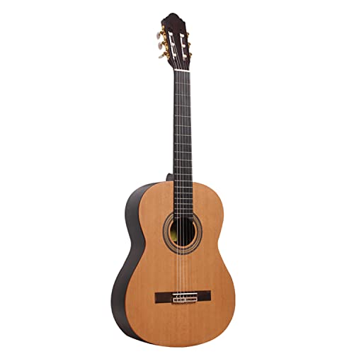 SheIRin Guitare Acoustique en pin coréen Massif, Ensemble Naturel avec Sac de Transport, accordeur, Sangle, Cordes… - Les Beatles, Paul McCartney, John Lennon, RIngo Starr, George Harrison SheIRin Guitare Acoustique en pin coréen Massif, Ensemble Naturel avec Sac de Transport, accordeur, Sangle, Cordes…