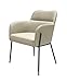 HomeRoots Grey Iron, Faux Leather Pale Gray Faux Leather Modern Dining or Side Chair