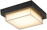 AXFSHJD Modern Outdoor/Indoor Ceiling Lamp,LED Ceiling Lighting, IP65 Waterproof 3000K Warm Light Square Ceiling Light Fixture,Flush Mount Ceiling Lamps for Entryway Garage Hallway(22cm)