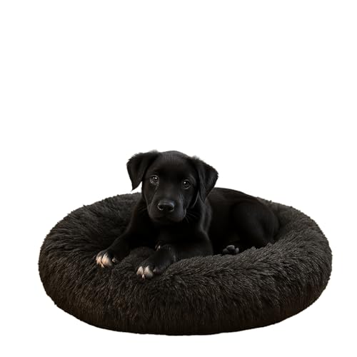 Dorian Home - Cuccia Cane Interno e Cuccia Gatto Tonda, Cuscino Cane Gatto Antiscivolo - Cuscino per Cani e Gatti Lavabile Taglia Grande, Media, Piccola, Lettino Cani Morbido, Letto Peloso a Ciambella