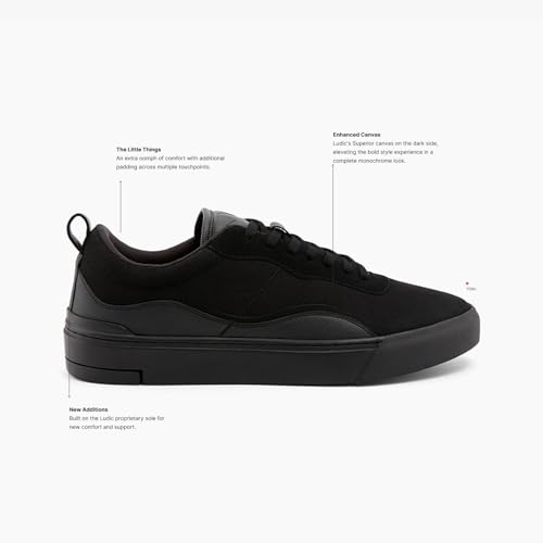 Image of LUDIC EC Low Sneakers for Men & Women | Enhanced Canvas Collection | Classic Casual Shoes Day Wear | Soft Cushioned Insole | Comfortable & Stylish