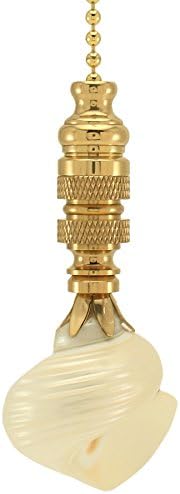 Silver Mouth Sea Shell Ceiling Fan Pull, 3"h with 12" Polished Brass Chain