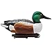 Final Approach HD Northern Shoveler Floating Duck Decoys, 6 Pack