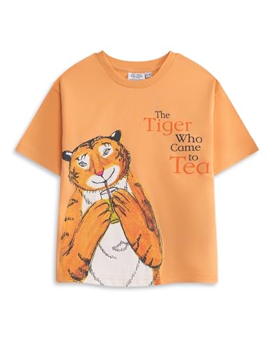 Vanilla Underground The Tiger Who Came to Tea Orange Graphic Tee | Boys Short Sleeve T-Shirt with Multi Character Cartoon Print | Childrens Character Merch