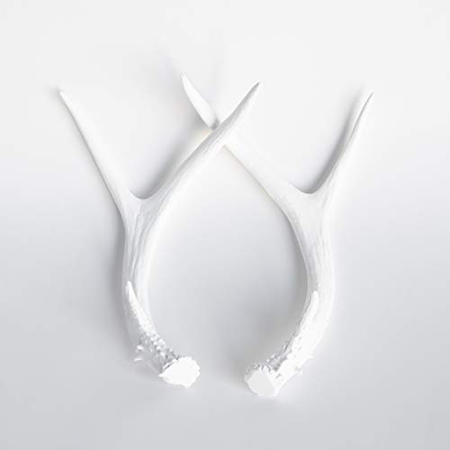 Near and Deer Faux Deer Antlers - Faux Taxidermy White Antler Decor - White Resin Unique Deer Antlers - Table Top Fake White Antler Shed DA01