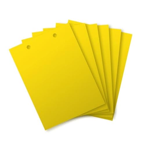 Atrapa Moscas 30X Mata Moscas Trampa Moscas Cover