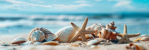 Oujkeef Estrella de mar Pintar por Números Adultos Gran 20x60cm, Pintura por Números Caparazón, DIY Pintura por Numeros kit Manualidades Adultos, Room Home Decor, Regalos Originales para Mujer -60