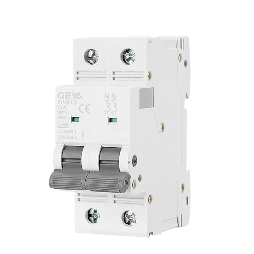 Mini disjoncteur 2 pôles 125A à coupure 6KA pour sécuriser les fortes puissances