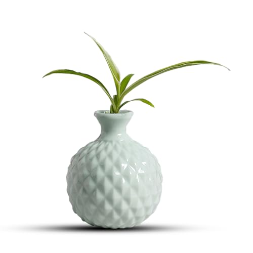 Small Ceramic Vase for Flowers, Handmade Decorative for Living Room, Dried Flower, Home, Shelf, Wedding Dinner Table Centerpiece Decoration (Green)