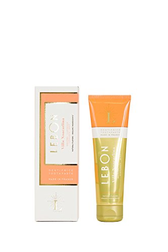 Lebon Villa Noacarlina (Cinnamon + Mint) Organic Toothpaste â€” 75 ml