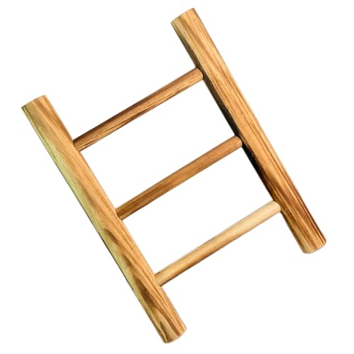 Gatuida Porte-Serviettes en Bois Brûlé Style Rustique, Petite Échelle Décorative à 2 Niveaux pour Salle de Bain, la Cuisine et Bureau, Rangement Compact et Séchage Rapide des Serviettes