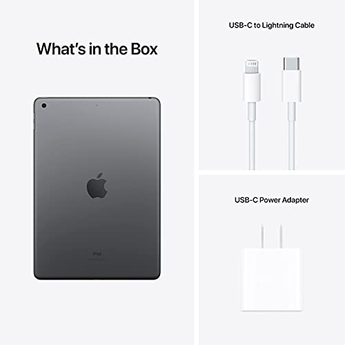 Image of Apple iPad (9th Generation, 10.2-inch, 2021), 256GB, Wi-Fi, Space Gray (Renewed Premium)