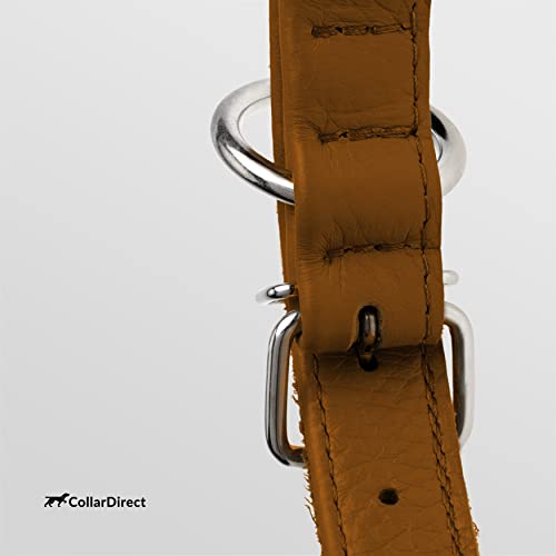 CollarDirect Rundes Leder Hundehalsband, weich gepolstert gerollt, handgefertigtes Echtleder Halsband für Hund Welpe Katze Klein Groß Schwarz Rosa Rot Lila Blau