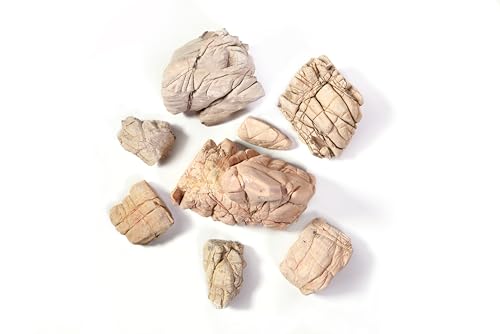 Image of LANDEN Elephant Skin Stone Natural Multi-Texture Rocks (18lbs, 3~9 inches,7pcs) for Aquarium, Paludarium, Terrariums, Landscaping, Decorative of Caves, Waterfalls, Cliffs