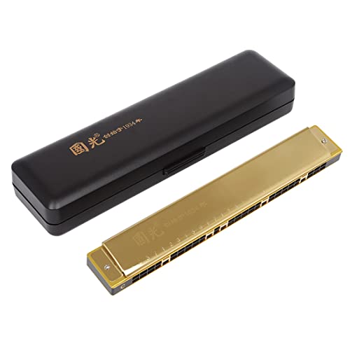 Harmonica 28 trous en acier inoxydable doré, finition soignée pour junior et étudiant