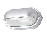 Kellerlampe IP 54 | für E27-Fassung | Kellerleuchte Garagenleuchte aus Aluminium und Glas (Silber, H: 95)
