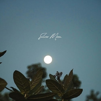 Silver Moon