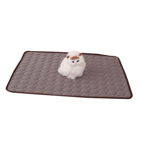 CHICAMPERA ybgpċG⊴}bg R[q[F yʐ܂肽ݎ MǑ΍ N[Q Lp  P[W ԓK