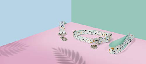 Collier Now House Mint Terrazzo Jonathan Adler chien taille M collier réglable
