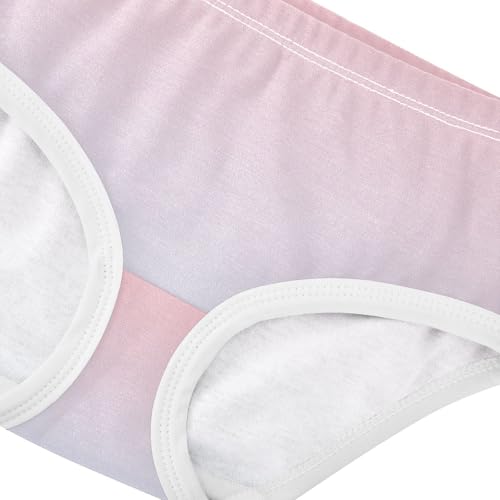 Joisal Designer Toddlers Underwear Floral 2t Cotton Panties for Girl Blush Pink Elegant Blue Gradient Briefs Undies Kids4