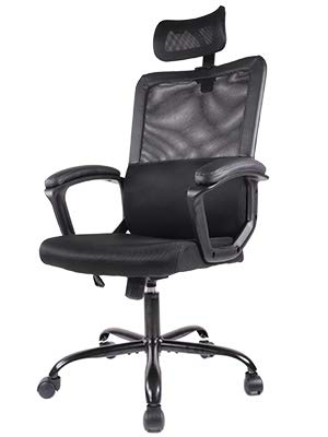 Smugdesk Ergonomic Office Chair Adjustable Headrest Mesh Office Chair Office Desk Chair Computer Task Chair (Black)