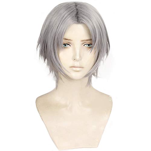 magic acgn Short Silver Grey Cosplay Wig Game Hair fashion Party Halloween Wig
