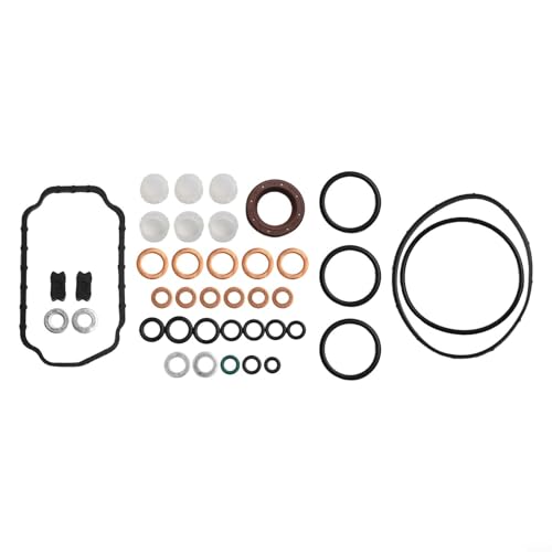 FACAIIO Kit de reparación de bomba de inyección HOMEVE 1467010059 para modelos Cummins 5.9L 12V 2500 3500, 14670-10059 1-467-010-059