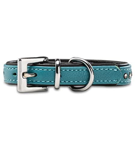 Hundehalsband aus Echt-Leder mit Strasssteinen/Kristall besetzt – funkelndes Hunde und Katzen Halsband aus gepolsterten und doppellagigen Büffelleder - Lederhalsband Audrey (S (20.0-27.5cm), Türkis)