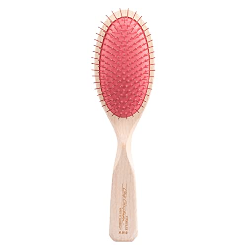 Chris Christensen 22 mm Oval Dog Brush, Breezy Brush Series, Groom Like a Professional, Rounded and Grounded Metal Pins, Best for Styling and Straightening Coat, Firm