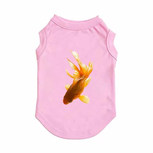 [QINTIW]   m TVc ^ t@V sN ybgEFA  VN NX}X  ̕ ybg Č S/M/L/XL/XXLt@V XS ^ Vv  킢  t hbOEFA