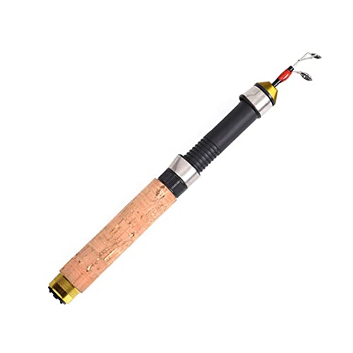 Canne à pêche hiver portable 60cm de spinning coulée à 3 sections pour poisson