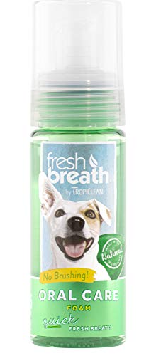 TROPICLEAN 0645095001022 - Fresh Breath Oral Care Mint Foam 133 ml