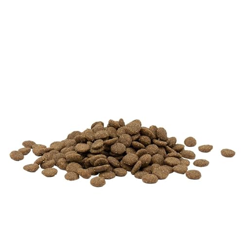Image of Opti Life Adult Cat Urinary - 1kg