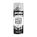 JENOLITE- Bombe peinture antirouille Directorust. Spray convertisseur de rouille multifonctionnel pour différentes surfaces. Couleur : noir satiné. Contenu : 400ml