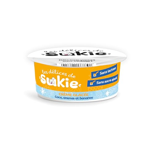RIGA – Les Delices De Sukie Hielo – Dulces Perro – Helado Aromatizado – Coco, piña y plátano – Yogur Pasteurizado – Sin Lactosa, sin azúcar Añadido – Sabrosa gourmandia Natural - 110 g