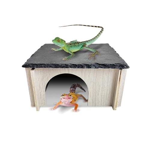 PINVNBY Bearded Dragon Basking Platform Wood Reptile Hides and Caves Crested Gecko Hide with Slate Rock Leopard Gecko Tank Accessories for Small Lizard Snake Turtle (S: 5.9x5.9 inches)