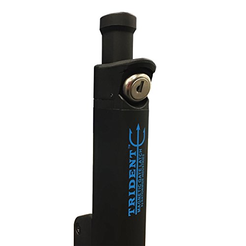 Trident 25,4 cm de altura preto magnético piscina criança segurança trava | chaveiro Alike | TRIDENT