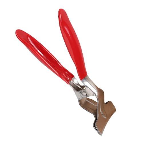 Cortador de sandía de acero inoxidable, pinzas de frutas para barbacoa y camping, herramienta creativa para fotografía de alimentos, decoración de platos y adultos