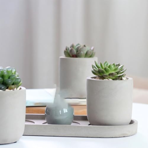 Pots de fleurs en ciment rond TUSUOD pot pour plantes d'intérieur