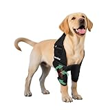 HAPPYHAO Adjustable Dog Elbow Brace with Shoulder Support,Dog Front Leg Brace for Torn Ligaments, Arthritis,Post-Operative Rehabilitation, Pressure Sores(Both Leg,XL)