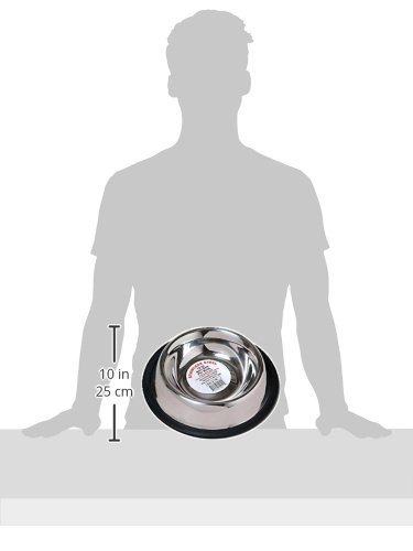 Stainless Steel Anti-Skid Pet Bowl