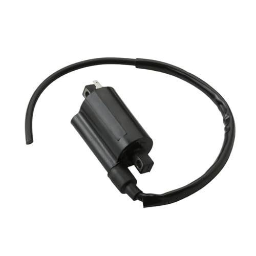 Bobine d'allumage pour moto Pegaso 660 et RSV R 1000cc