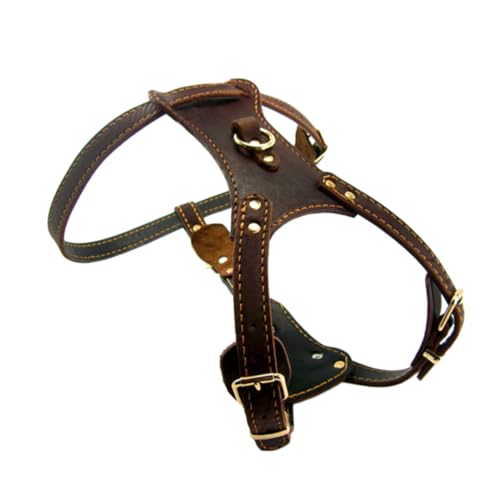 Collier pour chien avec sangle poitrine large pour chien moyen