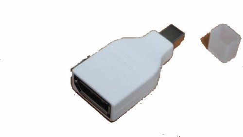 Applep Mini Displayport/Thunderbolt to Displayport ϊA_v^(mini DP-DP)