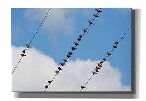 Epic Graffiti 'Humanwatching' by Epic Portfolio, Giclee Canvas Wall Art, 26