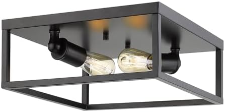 Golden Lighting 2072-FM BLK Wesson Flush Mount, Black