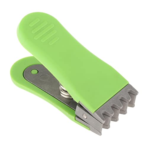 Aymzbd oh~g ejXPbg tCONv Nbv XgO}V ANZT[ c[ A}`A