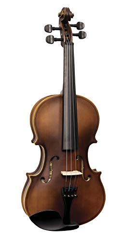 VIOLA VOGGA VOL144N 4/4