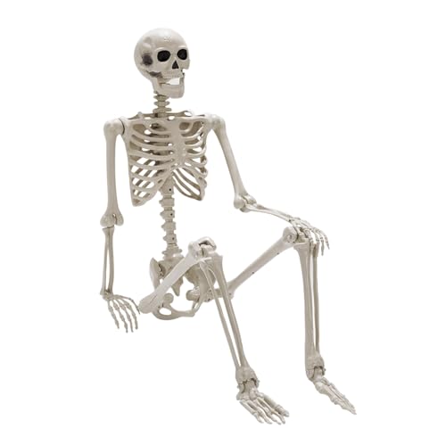 Catálogo de Halloween los mejores 5. 35 Daricano Esqueleto Realista de Plástico, Blanc, 2.95 Pies, Articulaciones Movibles, Decoración de Halloween, Casa Embrujada, Cementerio